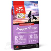 Orijen (Puppy Large) 無穀物雞肉配方大型幼犬狗糧 11.4kgs