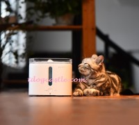 Petkit Eversweet 寵物智能飲水機 飲水神器 2公升