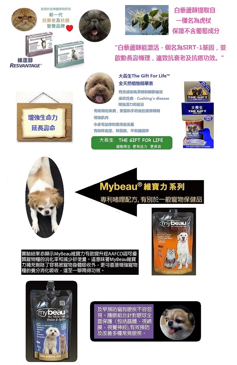5812f39fbb9ec.jpg
