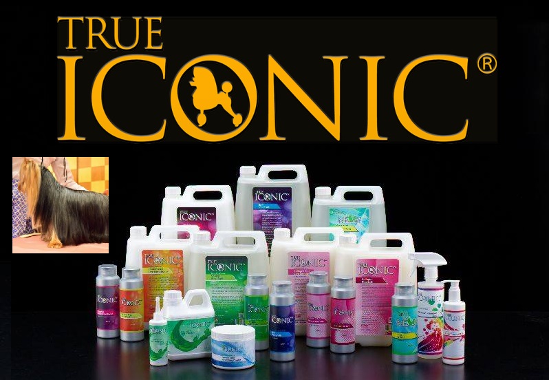 true-iconic-6.jpg